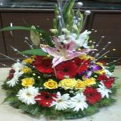 Image 01